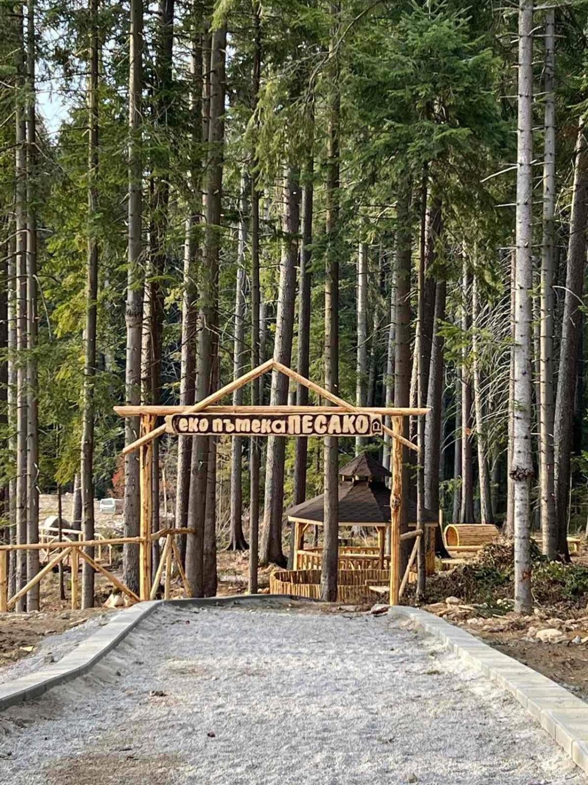 Arboro Flora Residence Studio Borovets Exterior photo